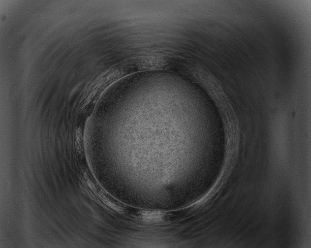 X0000051890144200507020105