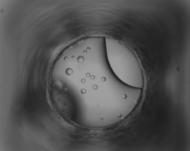 X0000051890145200507020104