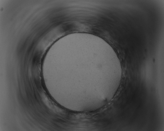 X0000051890146200507020104