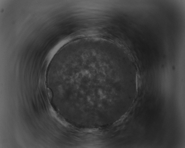 X0000051890147200507020104