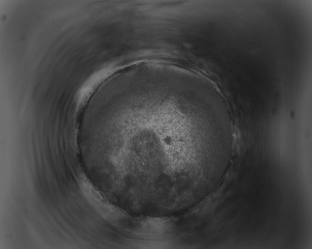 X0000051890149200507020104