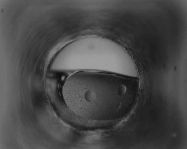 X0000051890150200507020104