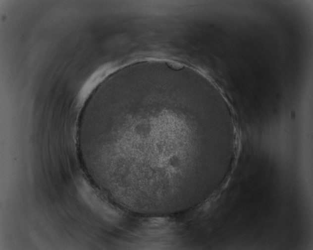 X0000051890151200507020104