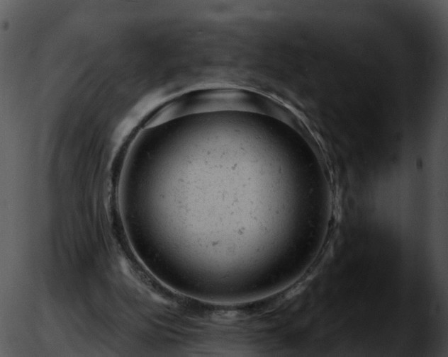 X0000051890152200507020104