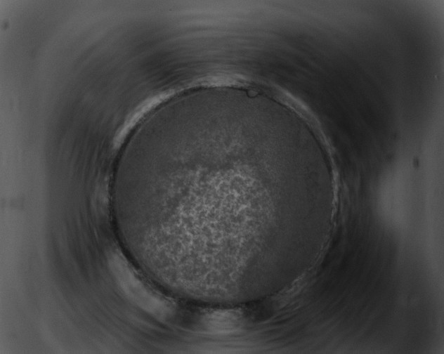 X0000051890155200507020104