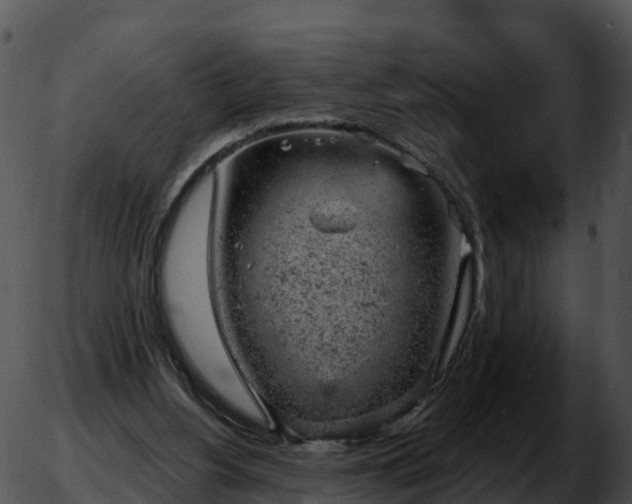 X0000051890156200507020104