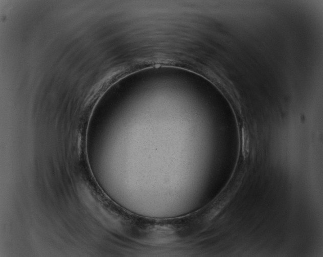 X0000051890157200507020104