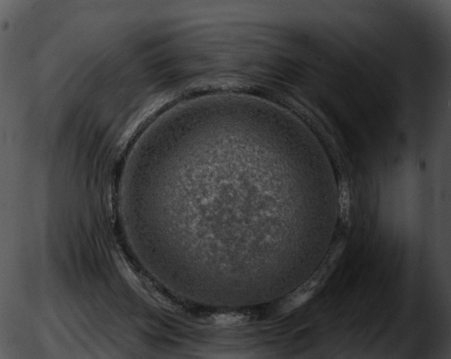 X0000051890158200507020104