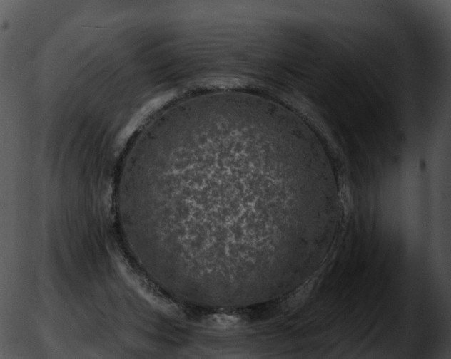 X0000051890159200507020104