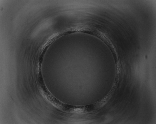 X0000051890163200507020105