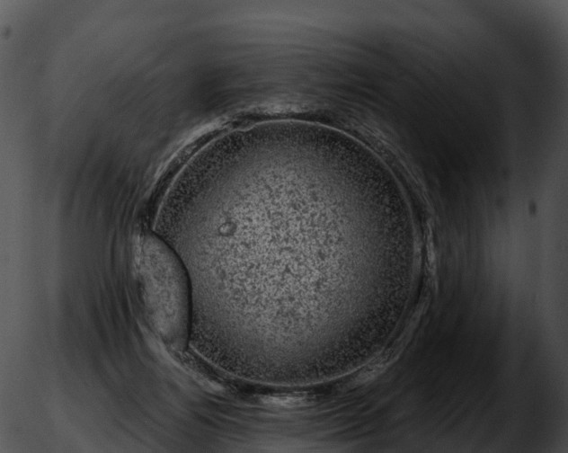 X0000051890164200507020105