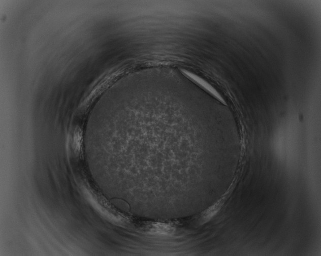 X0000051890166200507020105