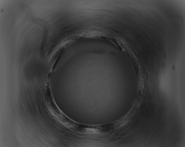 X0000051890167200507020105