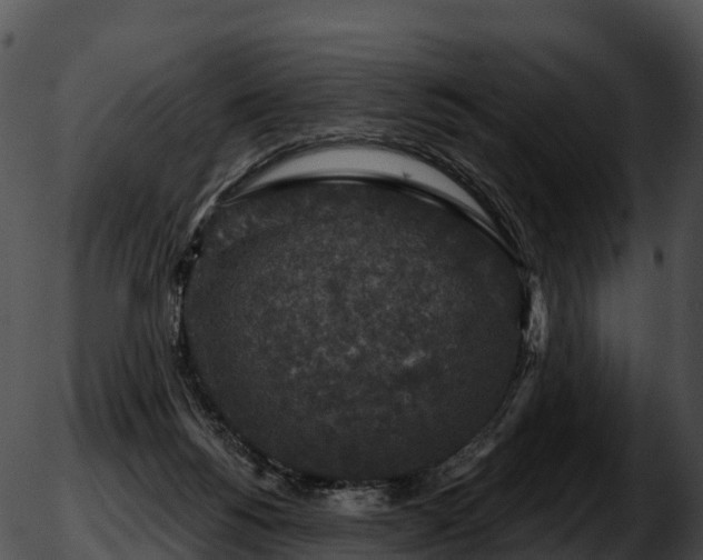 X0000051890168200507020105