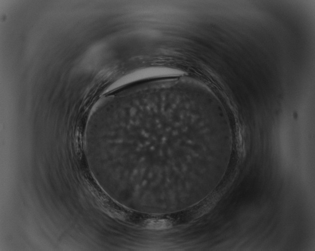 X0000051890169200507020105