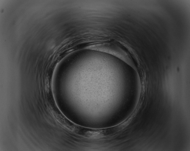 X0000051890170200507020105