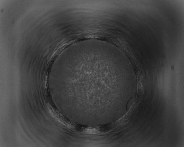 X0000051890171200507020105