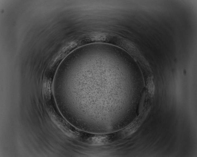 X0000051890172200507020105