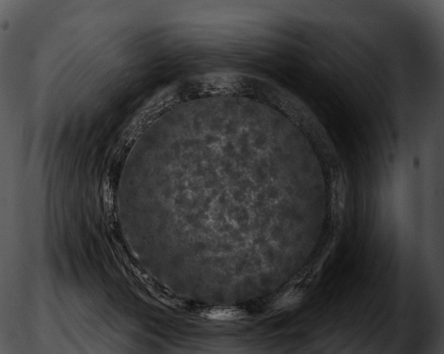 X0000051890173200507020105