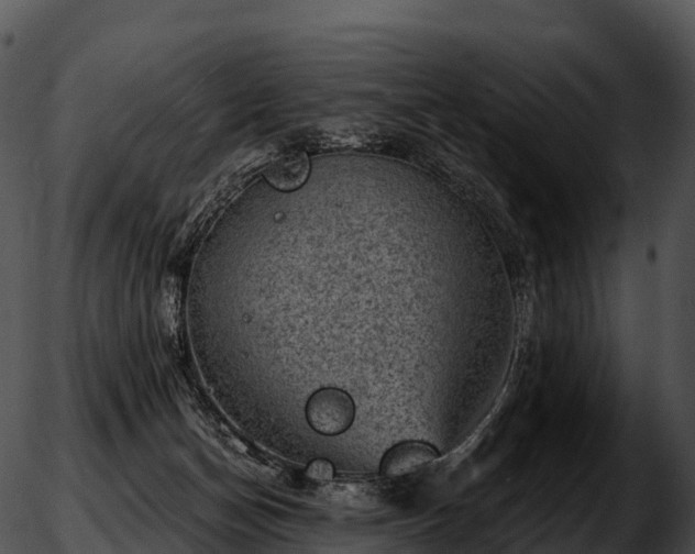 X0000051890174200507020105