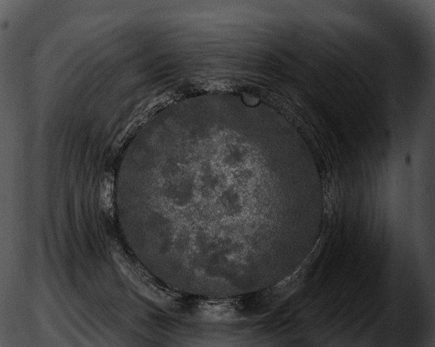 X0000051890175200507020105