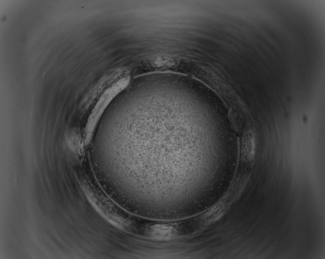 X0000051890176200507020105