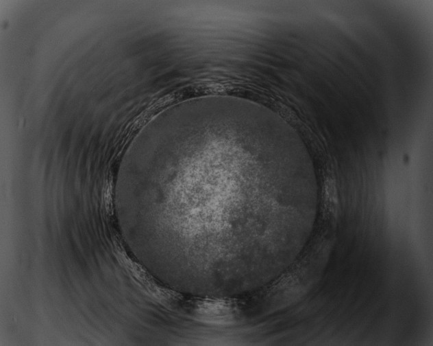 X0000051890177200507020105