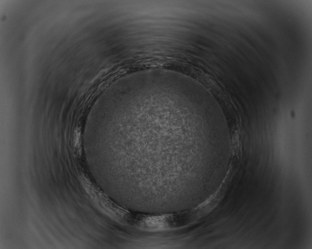 X0000051890178200507020105