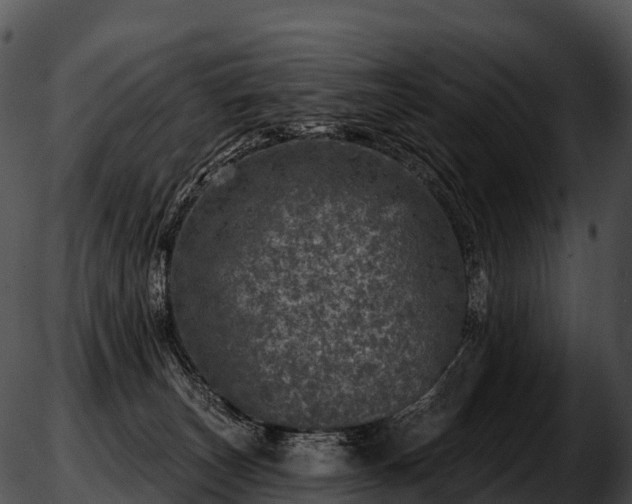 X0000051890179200507020105