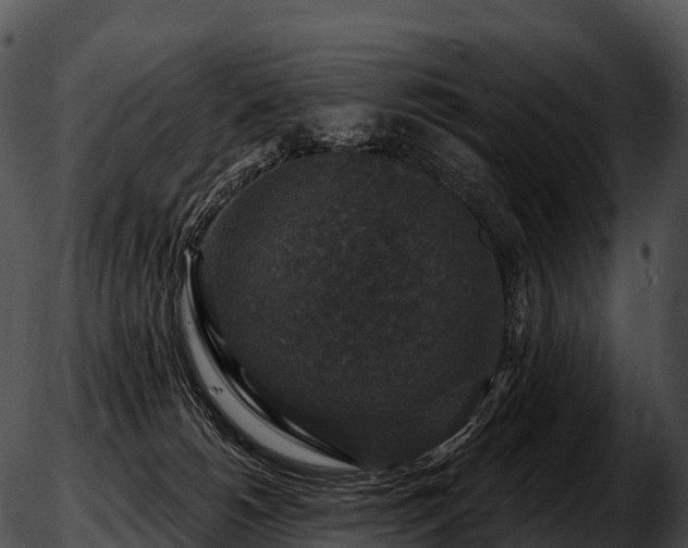 X0000051890180200507020105