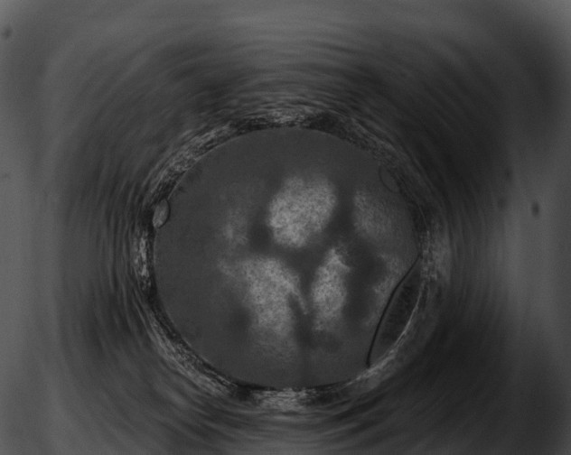 X0000051890182200507020105