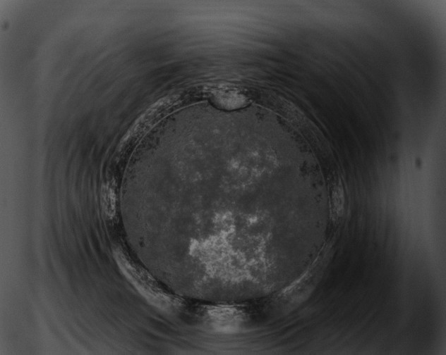 X0000051890183200507020105