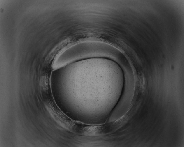 X0000051890184200507020105