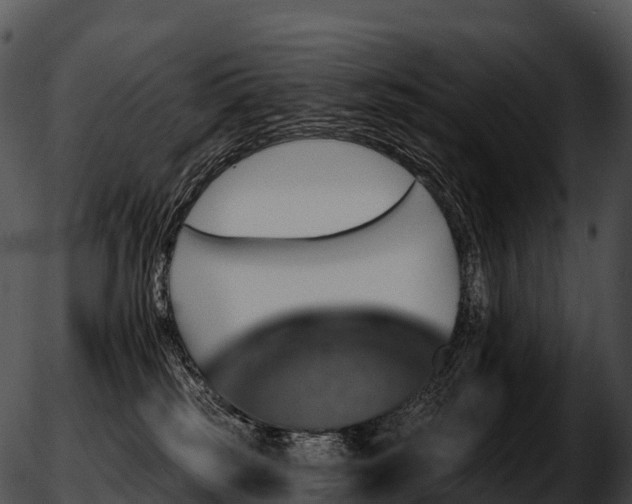 X0000051890185200507020105