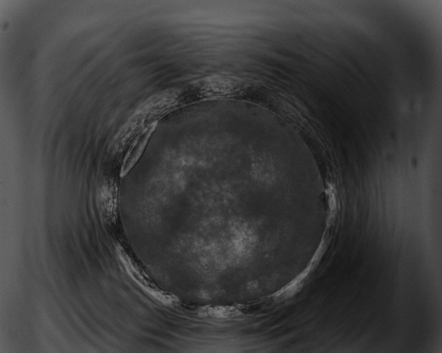 X0000051890186200507020105