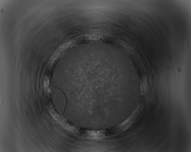 X0000051890187200507020105