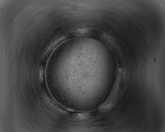 X0000051890188200507020105