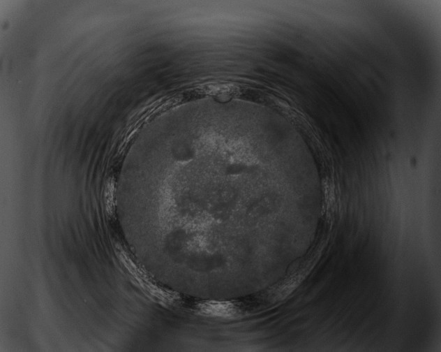 X0000051890189200507020105