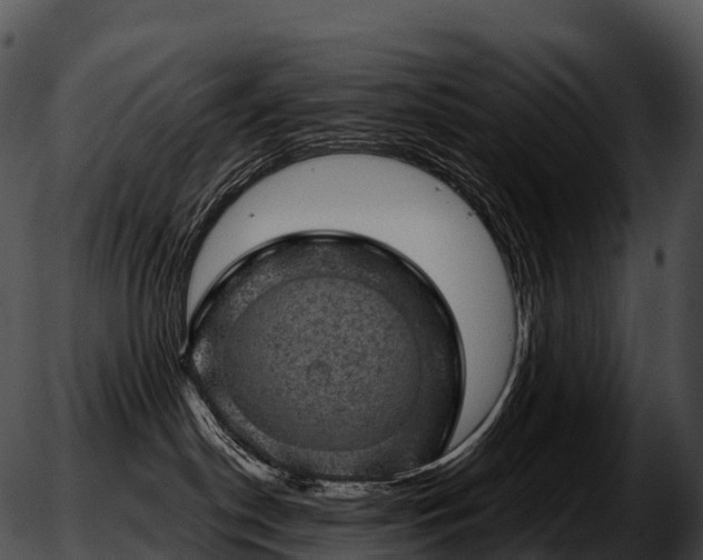 X0000051890190200507020105