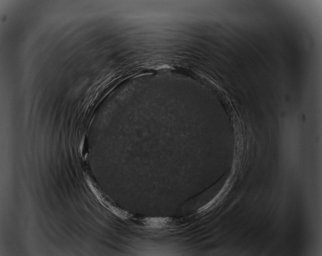 X0000051890192200507020105