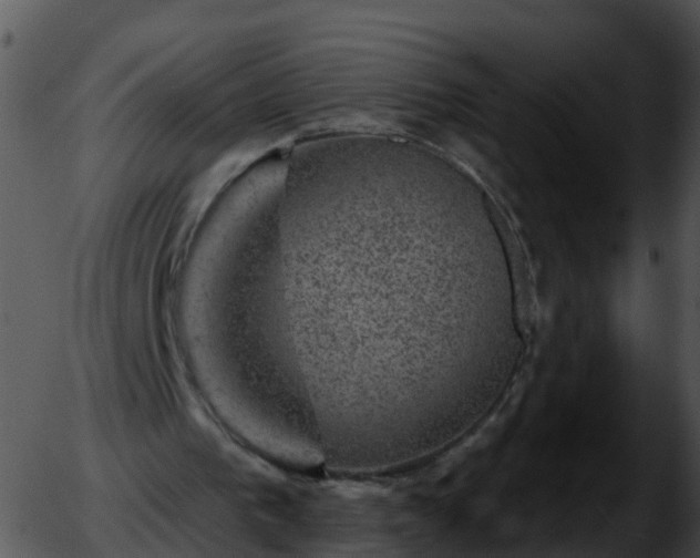 X0000051890193200507020104