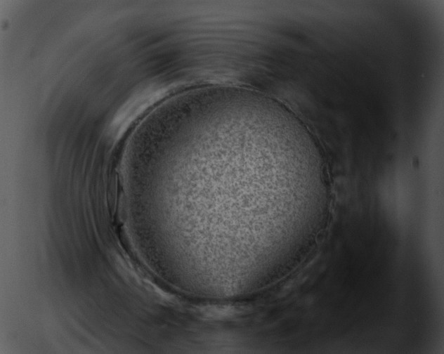 X0000051890194200507020104