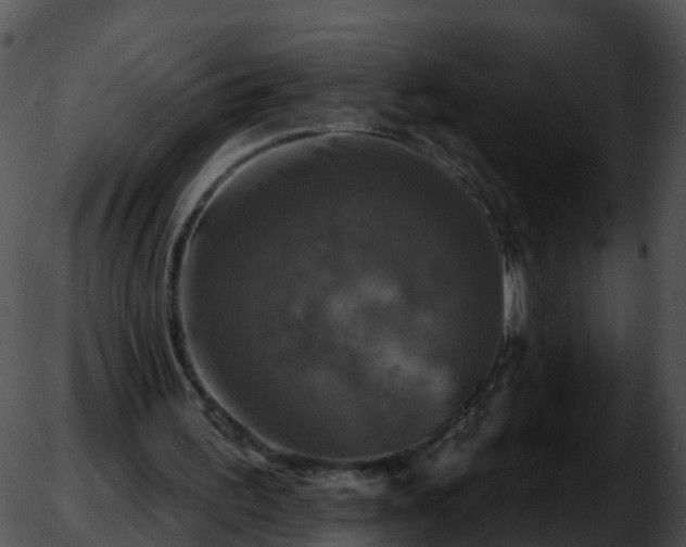 X0000051890195200507020104