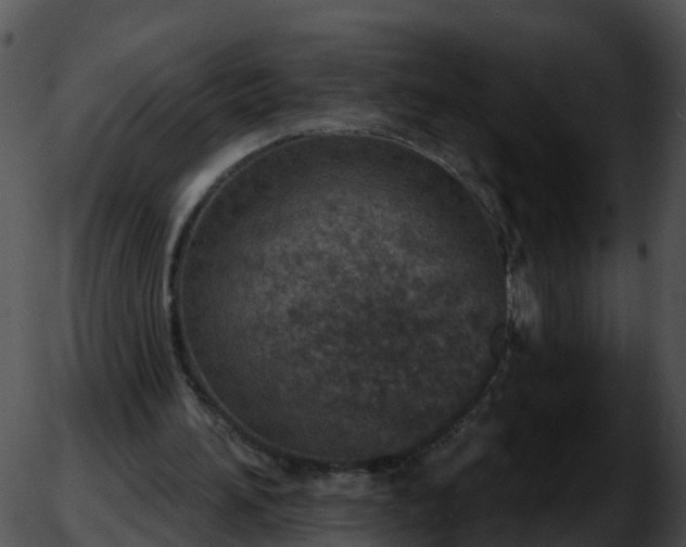 X0000051890196200507020104