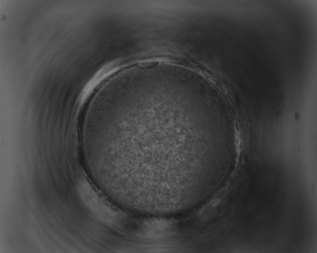 X0000051890198200507020104