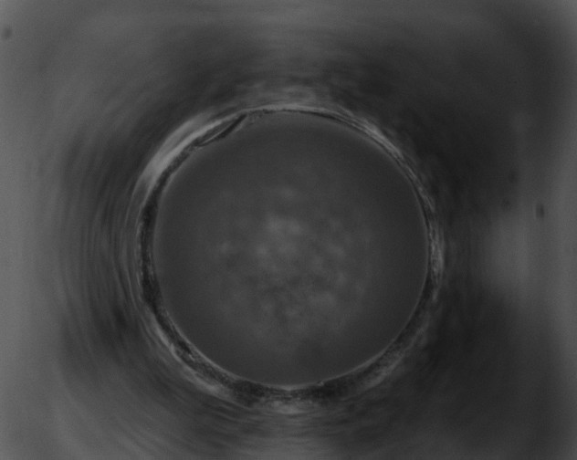 X0000051890199200507020104