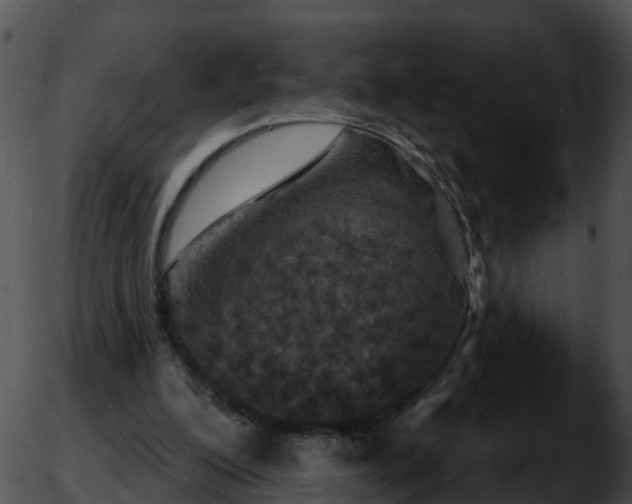 X0000051890200200507020104