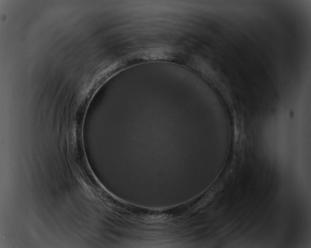 X0000051890202200507020104