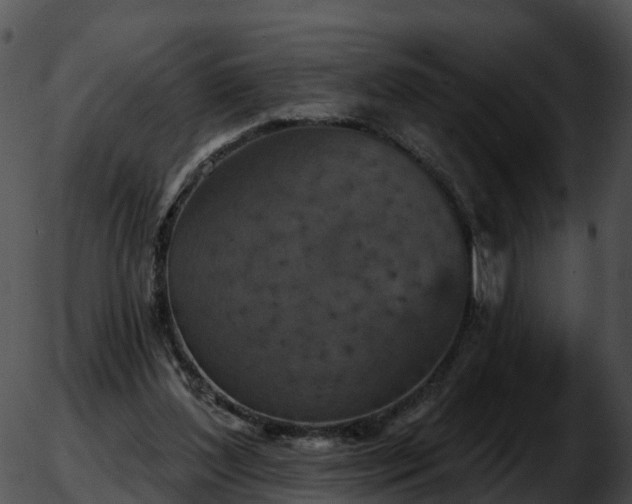 X0000051890204200507020104