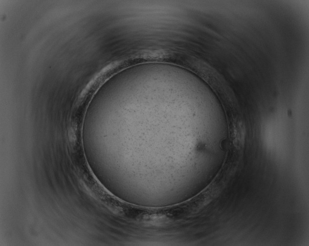 X0000051890208200507020104